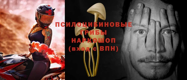 индика Михайловка