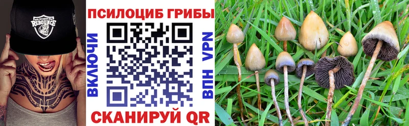 Галлюциногенные грибы ЛСД Иваново