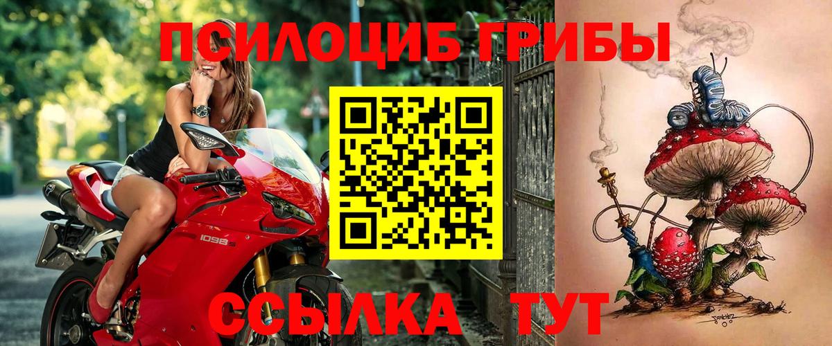 Иваново  Галлюциногенные грибы Cubensis  Вход с VPN 